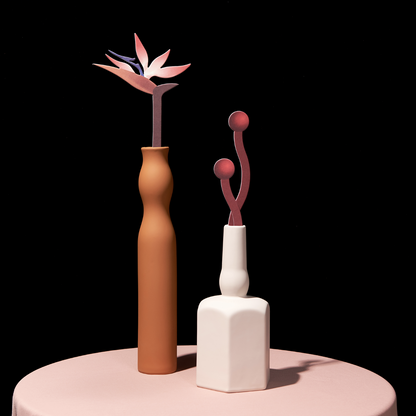 Bird of Paradise, Allium