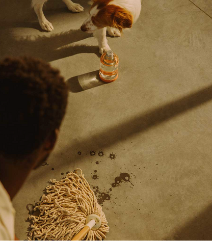 Starter Kit - Floor Cleaner