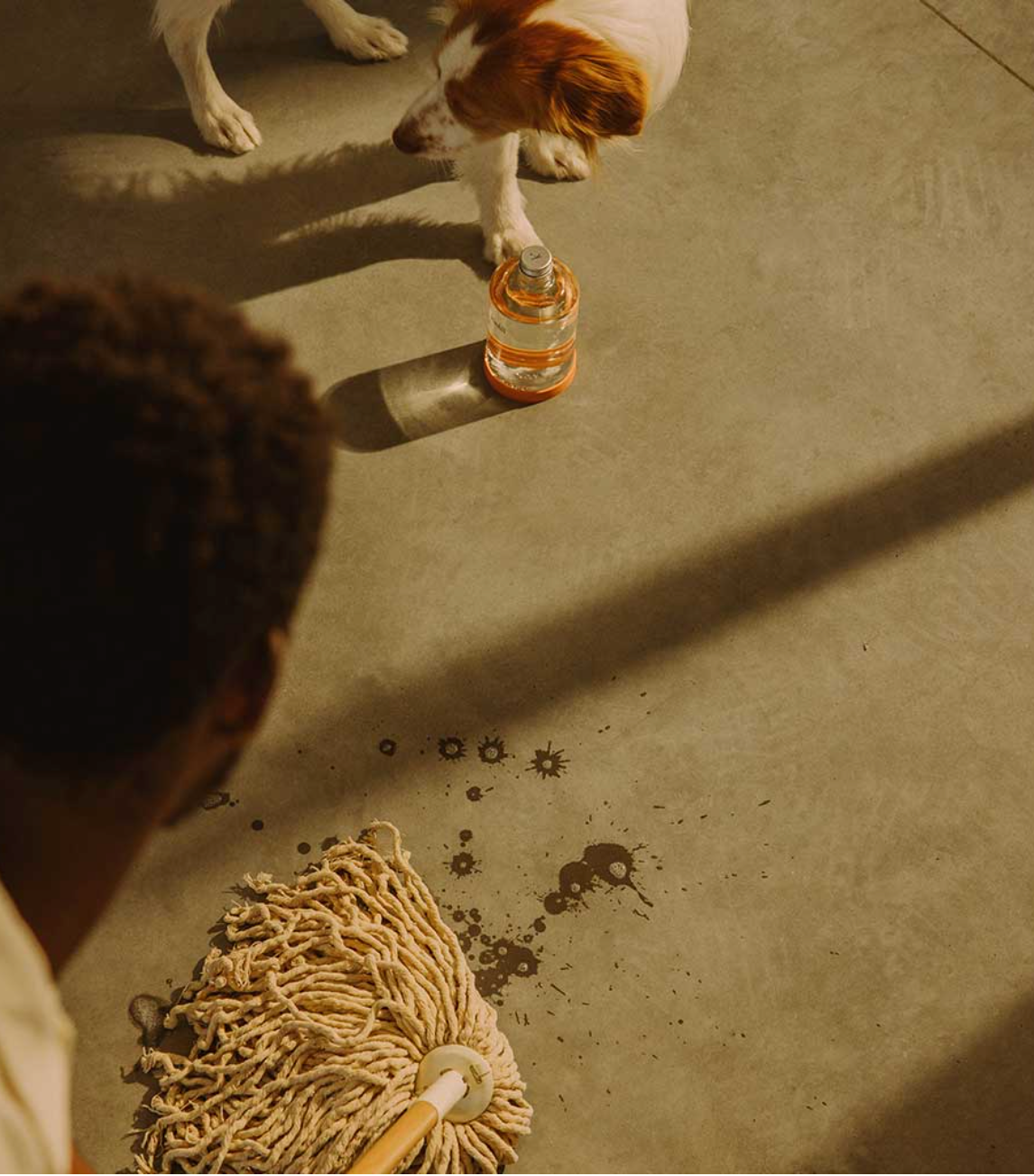 Starter Kit - Floor Cleaner